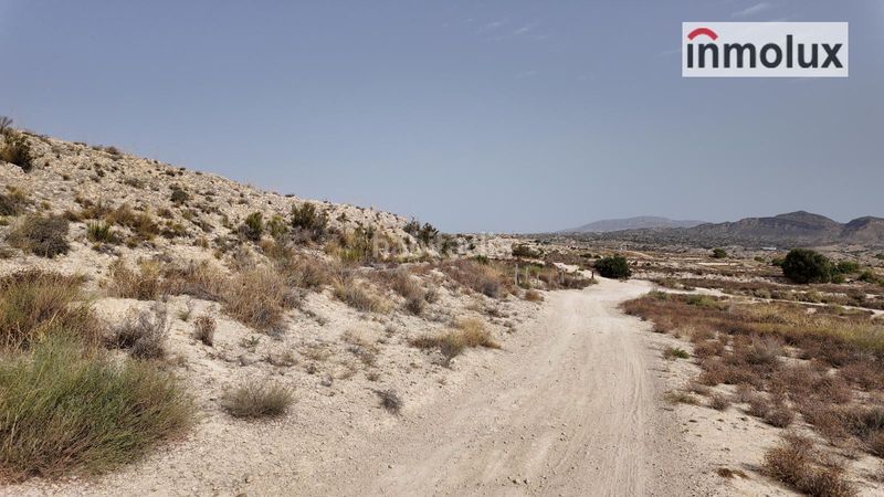 Foto e5aeb668-fb1f-4fca-a0fa-fc85b20a4888. Finca rústica a Jubalcoi Elche / Elx