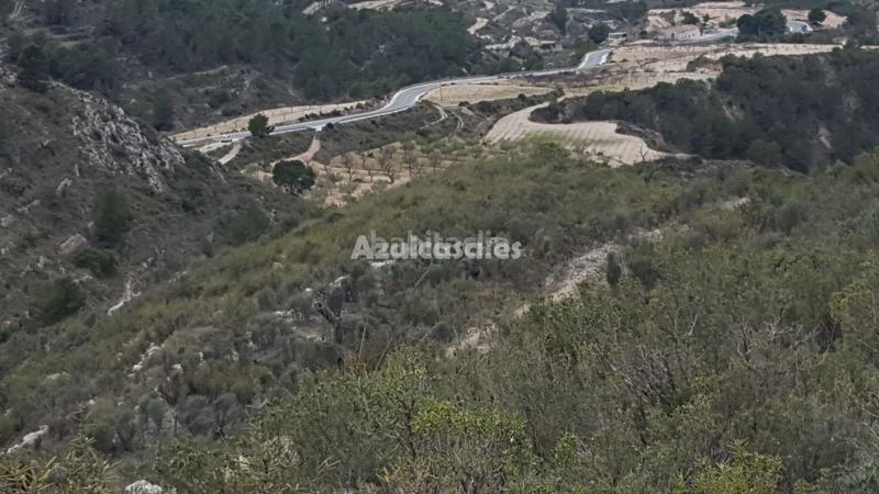 Foto 4afbc1f0-b84a-41aa-a1e9-71845b206498. Finca rústica a Xixona