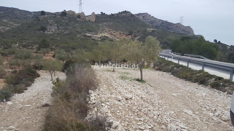 Foto f276b785-c6a7-420b-8ea2-b5fa8816c96d. Finca rústica a Xixona