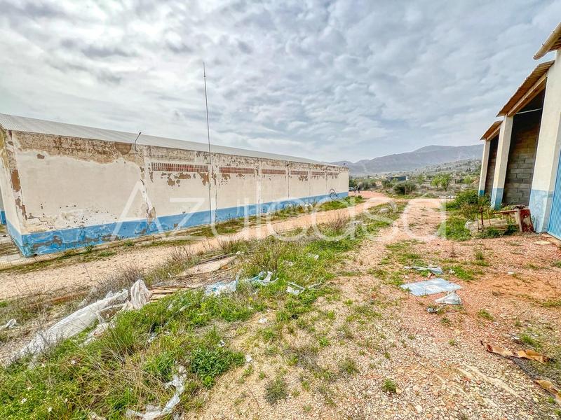 Foto 37f856ba-3494-4d88-a92a-27d4c491dc34. Capannone industriale in cuevas de san anton 44 in Romana (la)