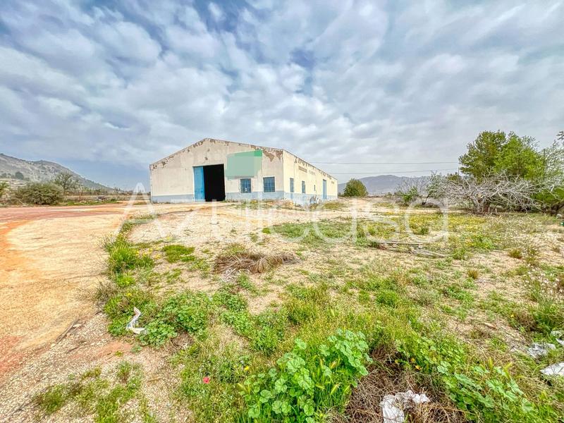 Foto 5685c12e-37e5-455c-9d49-2a499c79454e. Capannone industriale in cuevas de san anton 44 in Romana (la)