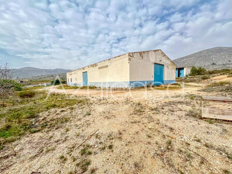 Foto 64faf625-8cbc-4be7-b7dc-9759ddea2a75. Capannone industriale in cuevas de san anton 44 in Romana (la)