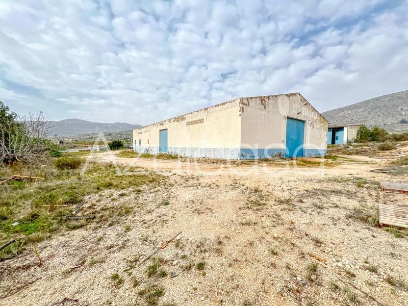 Foto 669c2d5b-b866-4b95-9d98-ecf018e9e88f. Capannone industriale in cuevas de san anton 44 in Romana (la)