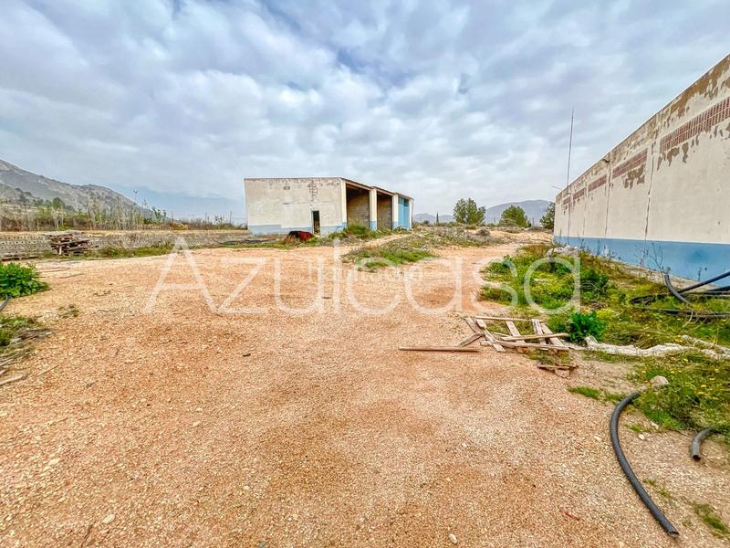 Foto 6c05c786-0eca-4778-8537-496da7e3c142. Capannone industriale in cuevas de san anton 44 in Romana (la)