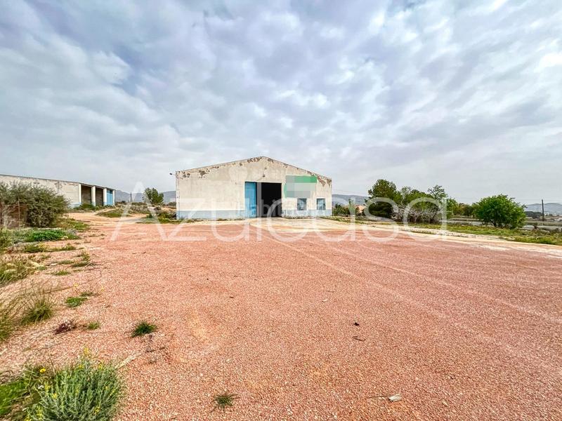 Foto 81f23312-3fdb-4c24-b5ed-1b6a1f6b191b. Capannone industriale in cuevas de san anton 44 in Romana (la)