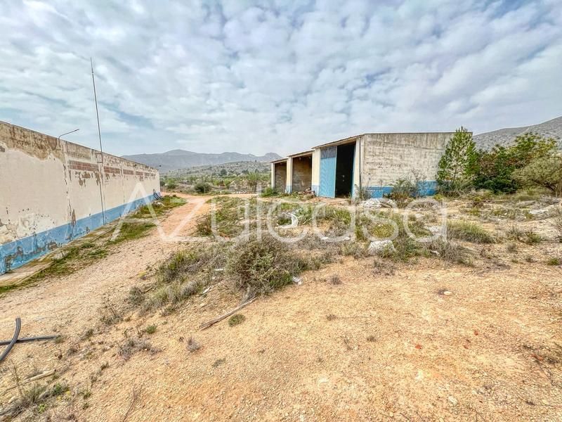 Foto 87ca69d5-6cbf-4b8c-af18-925bf711df17. Capannone industriale in cuevas de san anton 44 in Romana (la)