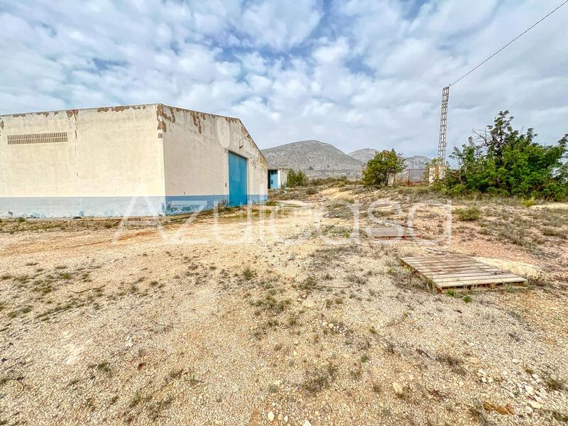 Foto e5712483-5967-4577-a494-8496ee80a5fc. Capannone industriale in cuevas de san anton 44 in Romana (la)