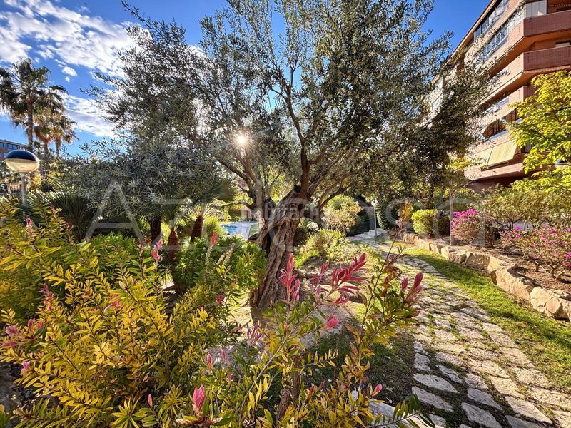 Foto 4923efed-d8b3-4cb1-ba6e-5fe61d944329. Pis amb calefacció aparcament piscina a Vistahermosa Alicante