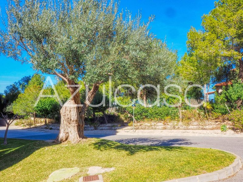 Foto 4e75c91f-7d00-4e0c-b08f-c97b5e120fc4. Pis amb calefacció aparcament piscina a Vistahermosa Alicante