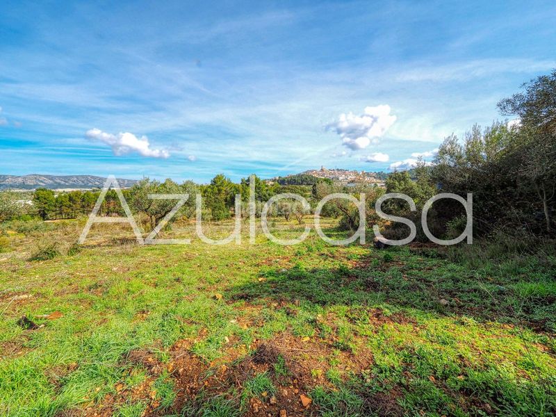 Foto 1055dd2c-c6db-4030-be30-91be2d1759db. Masia a Banyeres de Mariola