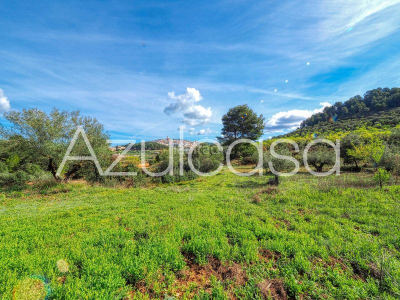 Foto e1a26903-dd72-4ccc-9f6d-916034b23488. Masia a Banyeres de Mariola