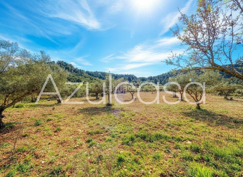 Foto fd9128cb-ead8-4ee3-a5f0-36259f88807c. Masia a Banyeres de Mariola