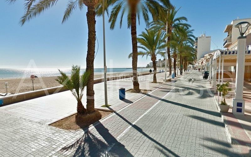 Foto 47b81b25-822d-404f-b672-71487c3be788. Pis a Campello Playa Campello (el)