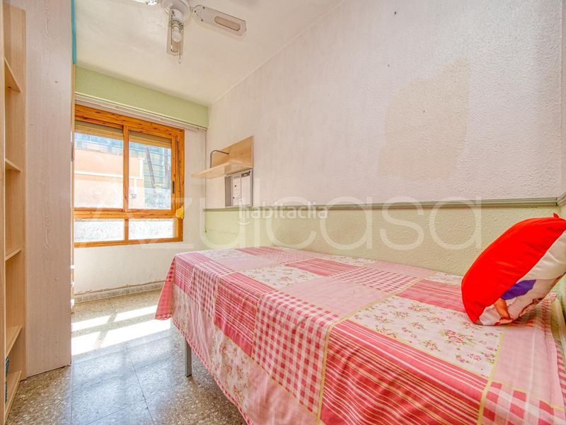 Foto d46d497d-eeed-4d4b-a79b-fab2784550a5. Pis a Campoamor Alicante