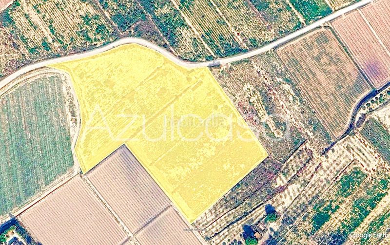 Foto 346d9c23-d6c0-42af-8a52-992dc7156421. Finca rústica a Monforte del Cid