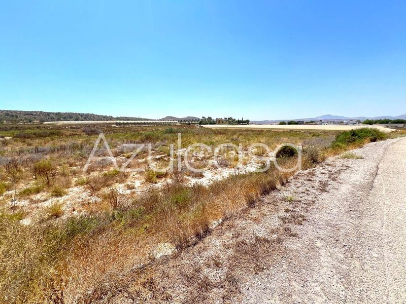 Foto 48f49b3b-4537-44e3-a251-4289f391eea0. Finca rústica a Monforte del Cid