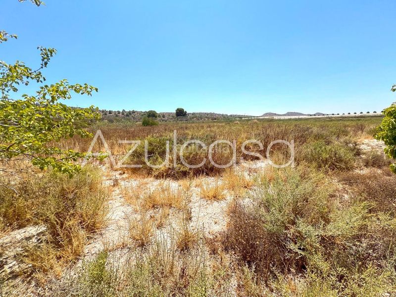 Foto 495ceede-b8b5-4863-823d-89e3eb071989. Finca rústica a Monforte del Cid