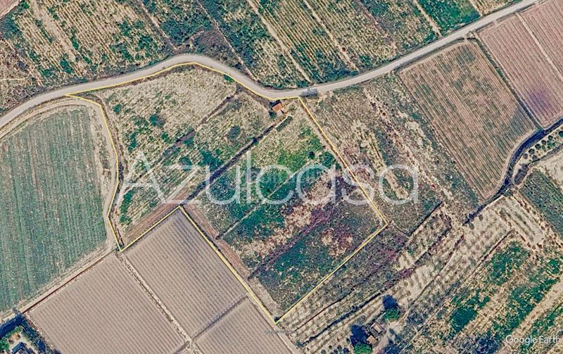 Foto 726bd289-7881-4620-a401-506bd1a97dd2. Finca rústica a Monforte del Cid