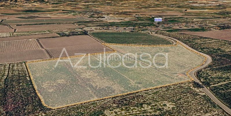 Foto 7d9aa5a8-4793-40ed-9b1e-bbe8289e1cb2. Finca rústica a Monforte del Cid