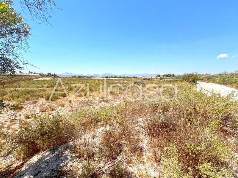 Foto 9b8e19fc-fe9d-47c9-89dd-03a923c9ed5a. Finca rústica a Monforte del Cid