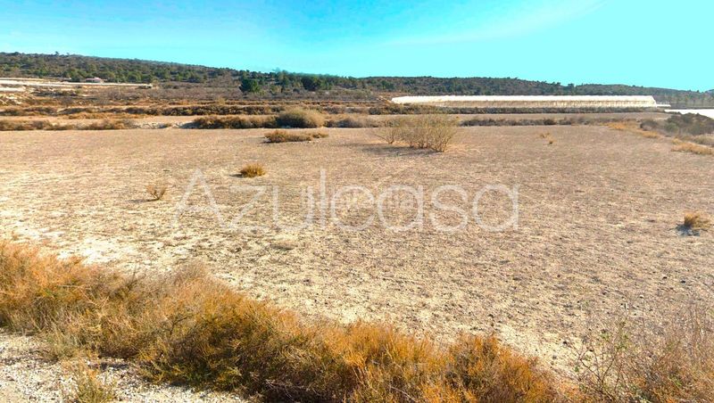 Foto a031986d-ccb7-4500-892f-7bb775c522ac. Finca rústica a Monforte del Cid