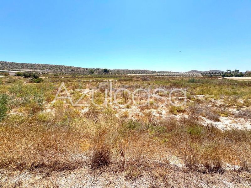 Foto b5ffe37d-fa32-460c-b2ee-c67d68ffc878. Finca rústica a Monforte del Cid