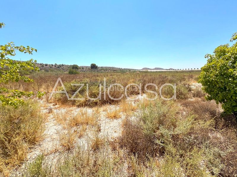 Foto b86ce1a1-8bb1-4c8a-b641-e7547b3bcf5f. Finca rústica a Monforte del Cid