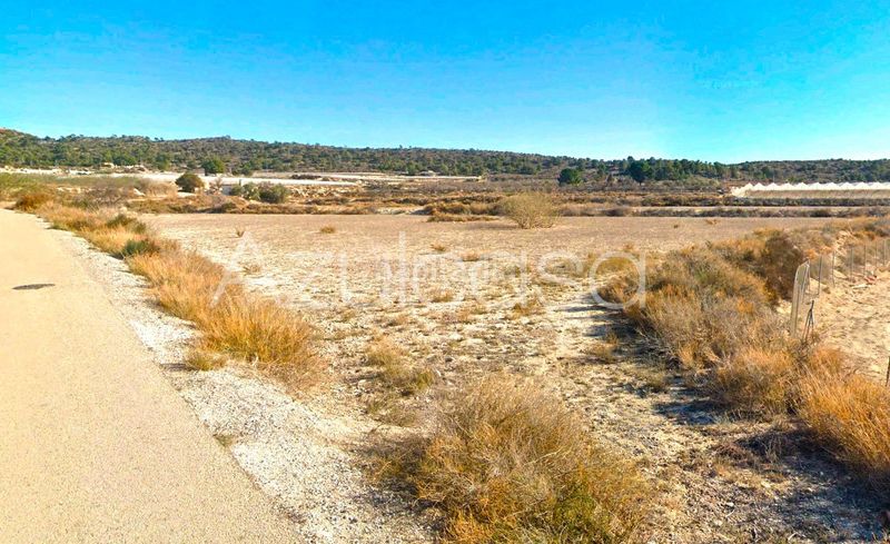 Foto c929ff26-7202-42c5-bdae-5888a2990b56. Finca rústica a Monforte del Cid