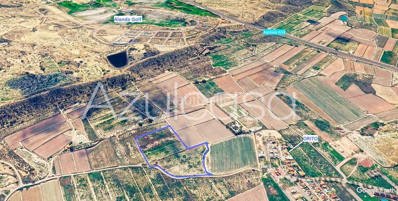 Foto d916a7b7-33e2-4df3-9ee9-3f19f2a880b6. Finca rústica a Monforte del Cid