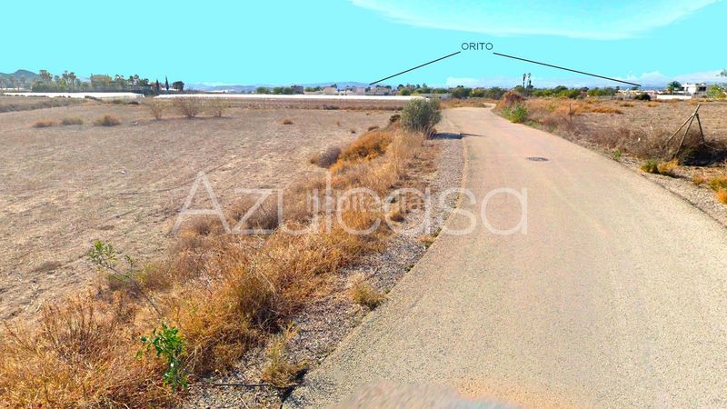 Foto eb8bc608-39f1-4bfd-ba97-4400e034a6eb. Finca rústica a Monforte del Cid
