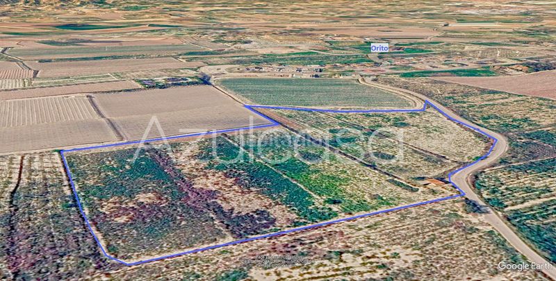 Foto ebc615b7-cd38-4d9d-9d63-bb8eb7895320. Finca rústica a Monforte del Cid