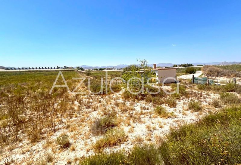 Foto f7056ea4-bb50-4d9b-8bb3-375804bfd77c. Finca rústica a Monforte del Cid
