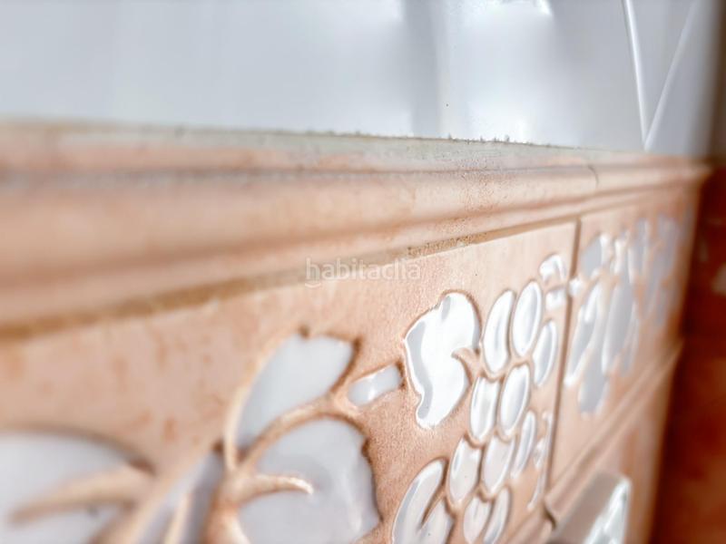 Foto 6f5c405a-07c9-4e70-814f-a8efcc2ea2c0. Pis a Carolinas Bajas Alicante