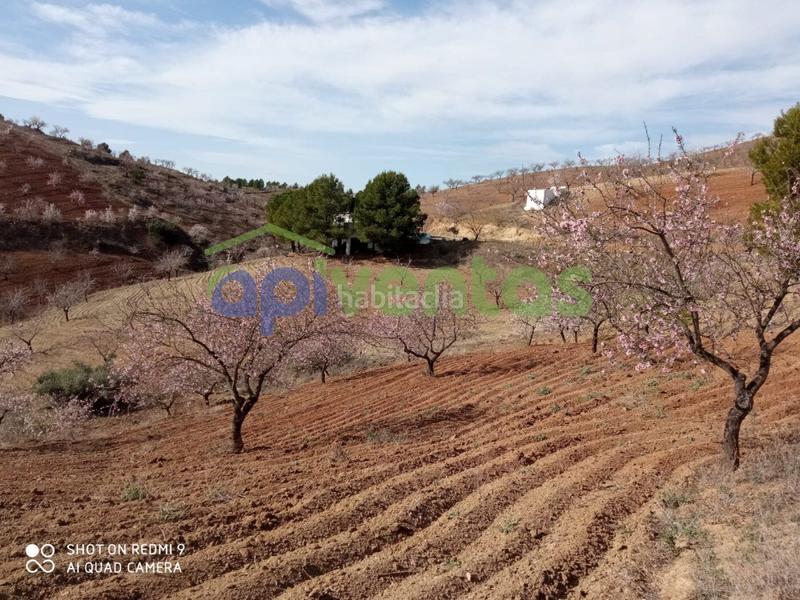 Foto 56fba555-98aa-414d-9c13-79ed1fd6cb2b. Masía casa con terreno, paraje Torrecilla en Torrecilla Lorca