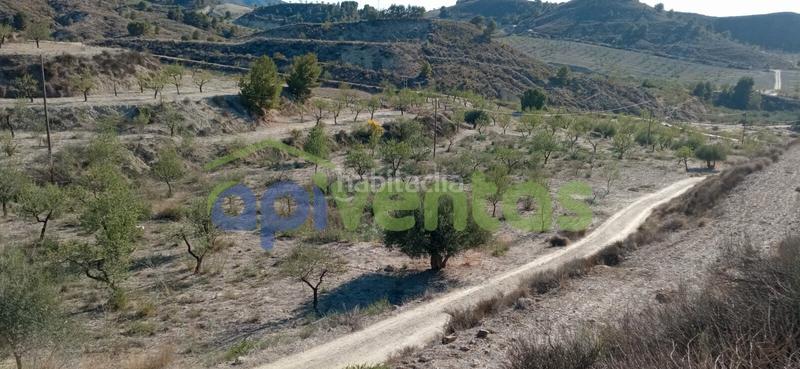Foto 045f0fe0-215b-4deb-9109-b1ca38b5ccd6. Finca rústica terreno en cart el puntarron, aguaderas. en Lorca