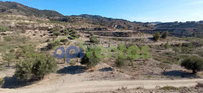 Foto 47869802-f72a-4912-b7ff-5d85a6150727. Finca rústica terreno en cart el puntarron, aguaderas. en Lorca