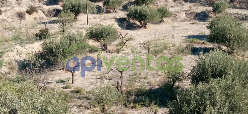 Foto 4cdfa1df-4da1-4a5c-8529-6a40442282ae. Finca rústica terreno en cart el puntarron, aguaderas. en Lorca