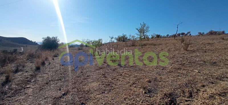 Foto 59cfe195-74c4-40bf-92f2-0786db16d973. Finca rústica terreno en cart el puntarron, aguaderas. en Lorca