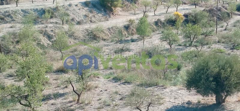 Foto af0e117f-8496-40b0-835c-e8163875962f. Finca rústica terreno en cart el puntarron, aguaderas. en Lorca