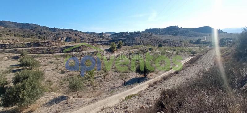Foto cef3875c-cbaf-4302-b44b-4dc4f9c3daae. Finca rústica terreno en cart el puntarron, aguaderas. en Lorca