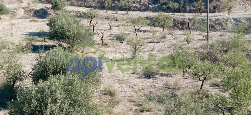 Foto da758a2e-9491-4088-9669-de2ec09677f0. Finca rústica terreno en cart el puntarron, aguaderas. en Lorca
