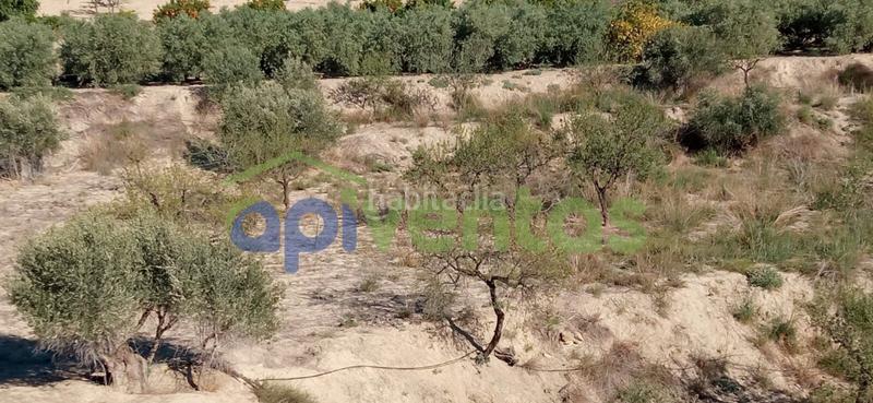 Foto dc2413ee-a1b7-4758-9adf-fc6f3c19e64f. Finca rústica terreno en cart el puntarron, aguaderas. en Lorca
