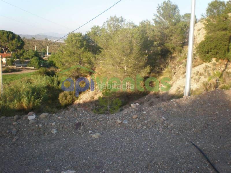 Foto 274d1a35-d37f-4522-b1e8-61f8ad382247. Terreny residencial a Torrealvilla Lorca