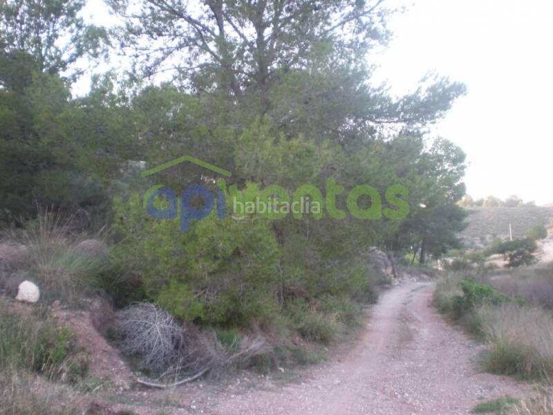 Foto 4d11fddc-2bf5-4f4f-addf-2da6f825214f. Terreny residencial a Torrealvilla Lorca