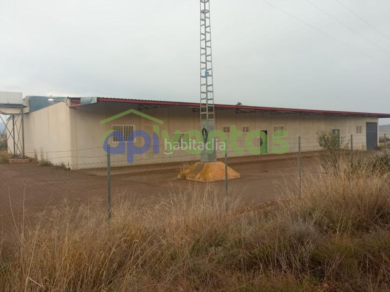 Foto 374fc722-ebc2-4930-bd98-4a7d4e0b372d. Capannone industriale in Zarcilla de Ramos Lorca