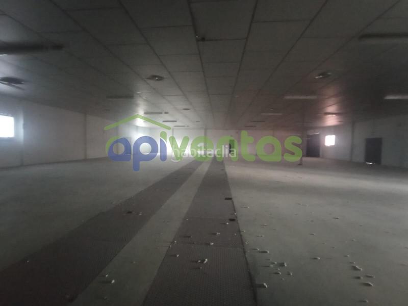 Foto 3d2fd965-5cd0-40e1-823f-5b9b9f9de46f. Capannone industriale in Zarcilla de Ramos Lorca