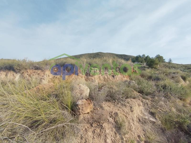 Foto 21923bba-915f-4815-9234-a36391e83f53. Finca rústica a Purias Lorca