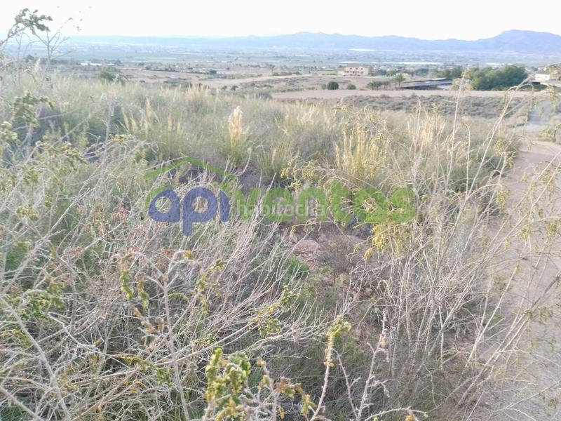 Foto 70cdf3e6-f8cf-4532-b0d6-9c0bf1e4ea91. Finca rústica a Purias Lorca