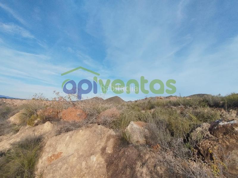 Foto a4458345-675b-4fc9-840a-372f2fc28d10. Finca rústica a Purias Lorca