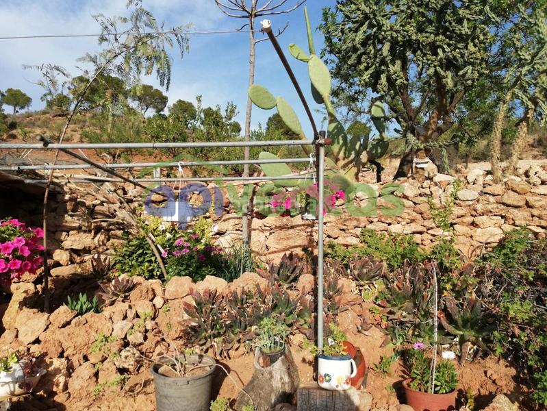 Foto c146daa7-e478-46d4-97a5-7436027b406e. Bauernhof mit heizung parking in Carrasquilla Lorca